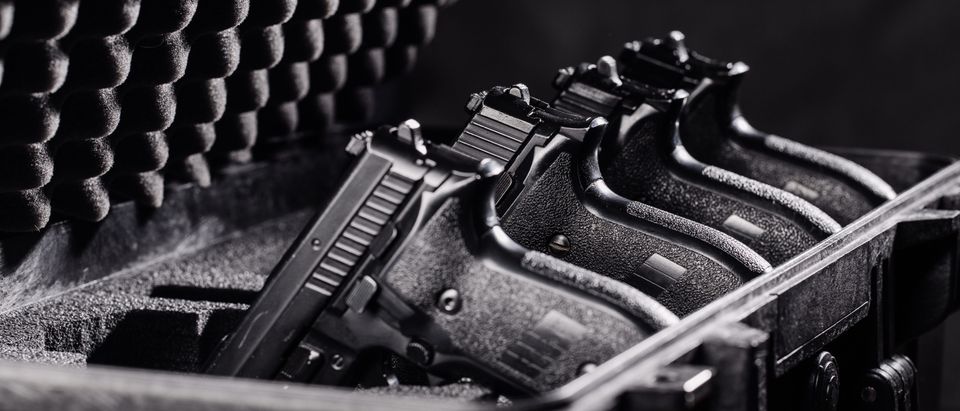 Handguns (PRESSLAB/Shutterstock)