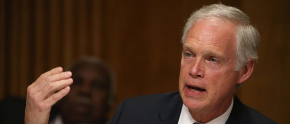 Sen. Ron Johnson (R-WI) participates in a Senate Foreign relations Committee hearing on Capitol Hill, March 10, 2015 in Washington, DC. (Mark Wilson/Getty Images)
