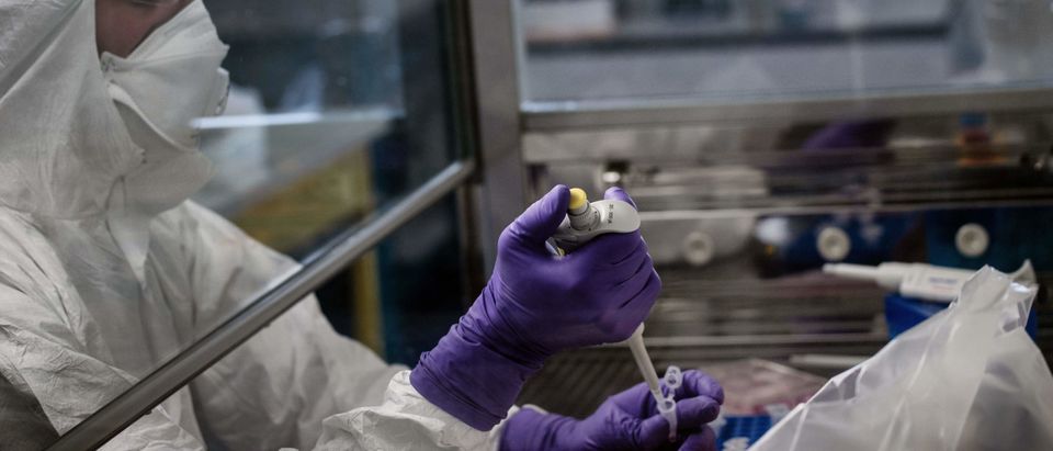 A scientist is at work in the VirPath university laboratory, classified as "P3" level of safety, on February 5, 2020 as they try to find an effective treatment against the new SARS-like coronavirus, which has already caused more than 560 deaths. - When most are busy developing vaccines or testing the few anti-virals available, VirPath will go after drugs used for diseases that have nothing to do with a respiratory infection such as 2019-nCoV. (Photo by Jeff Pachoud/AFP via Getty Images)