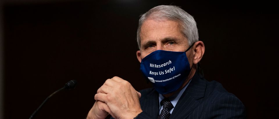 Dr. Anthony Fauci Testifies Before Senate On Federal Response To Pandemic
