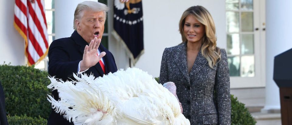 President Trump Pardons National Thanksgiving Turkey At The White House