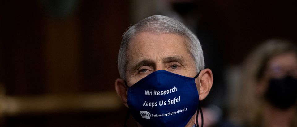 Fauci, Redfield testify at U.S. Senate hearing on coronavirus response in Washington