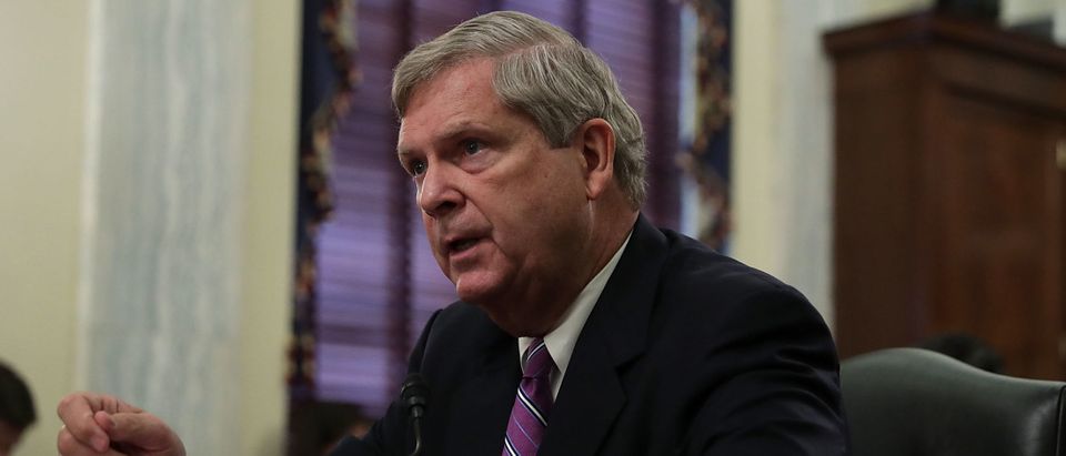 Agriculture Secretary Tom Vilsack Testifies To Senate Agriculture Committee On State Of Farm Economy