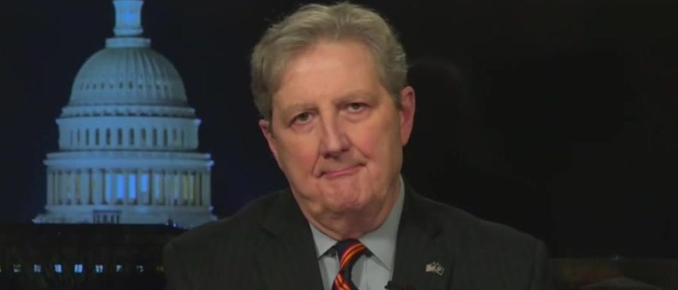 'If Dead People Can Do It, So Can You' John Kennedy Encourages Georgia Republicans To Turn Out In Special Election (Fox News screengrab)
