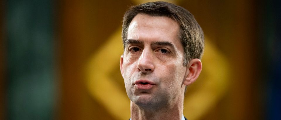 Tom Cotton Says Colleagues Gave Supporters "False Hope" Election Results Could Be Overturned