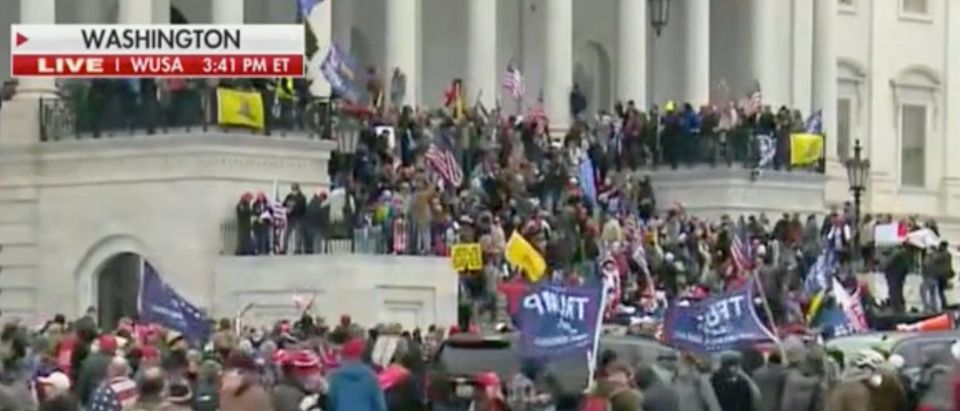 Protestors at the Capitol (Screenshot/FNC)