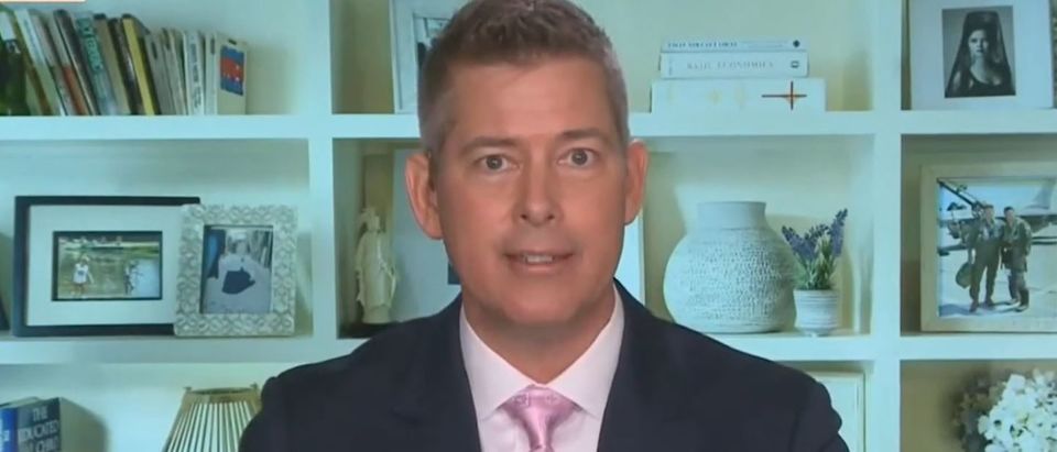 Sean Duffy says Trump could hurt Georgia turnout by complaining about election results (Fox News screengrab)