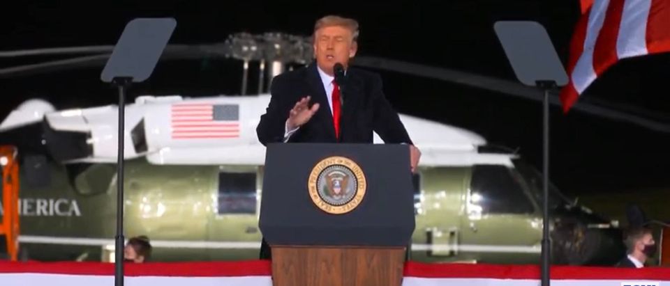 President Trump in Georgia. (Screenshot/YouTube/Fox)