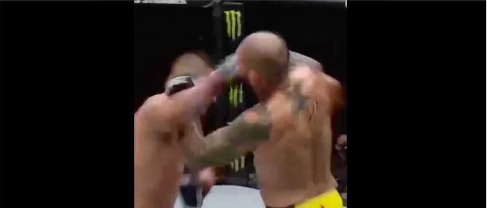 UFC Knockout (Credit: Screenshot/Twitter Video https://twitter.com/ufc/status/1351972330134757384)