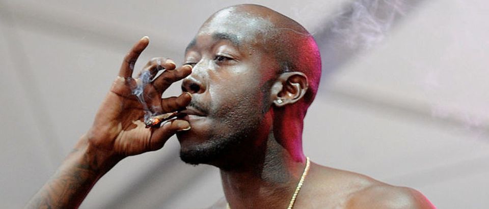NEW YORK, NY - JUNE 09: Hip Hop artist Freddie Gibbs performs on stage at the SKYY Vodka Stage At Governors Ball - Day 3 at Randall's Island on June 9, 2013 in New York City. (Photo by Brad Barket/Getty Images for SKYY Vodka)