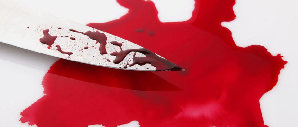 Bloody Knife (Credit: Shutterstock/OriIfergan)