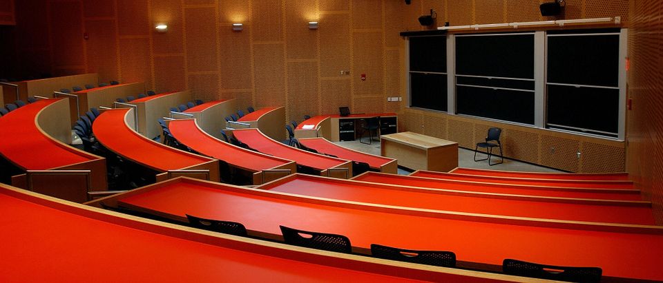 A large lecture hall in the newest build