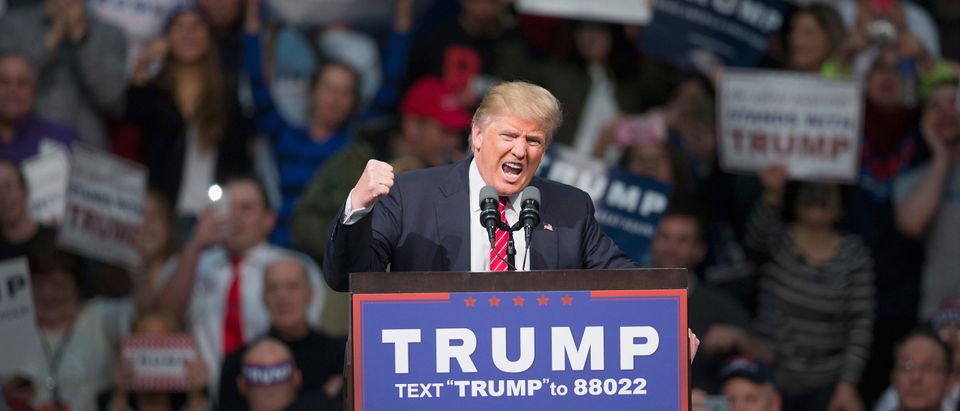 Donald Trump Holds Campaign Rally In Warren, Michigan