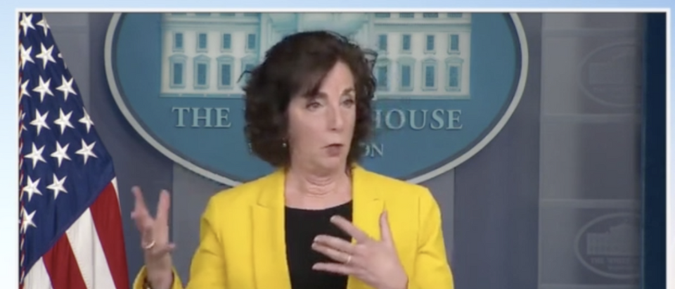 Ambassador Roberta Jacobson accidentally told reporters that the border is open after Wednesday's press briefing switched over to Spanish. (Screenshot The White House)