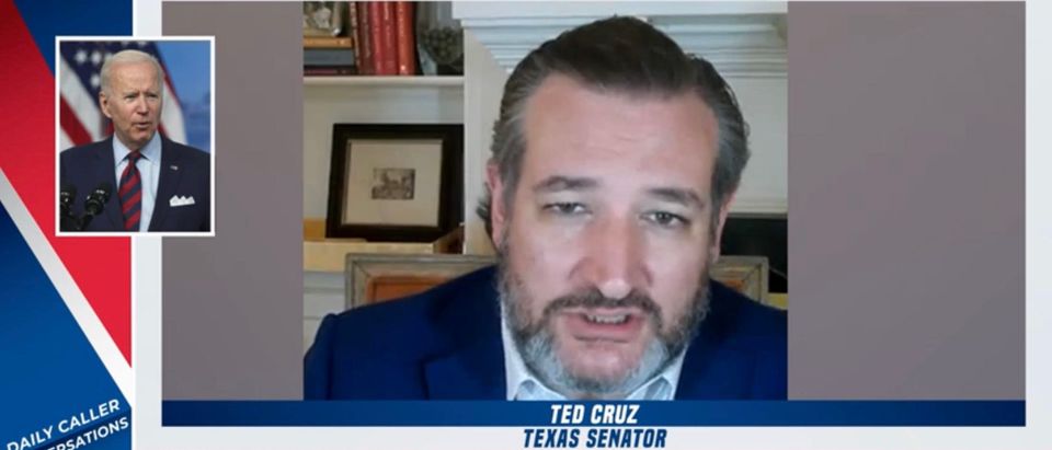 Republican Texas Sen. Ted Cruz. (Daily Caller)