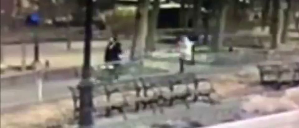 Screengrab from the video of the attack