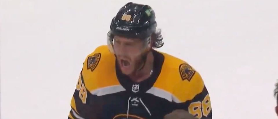 Boston Bruins (Credit: Screenshot/Twitter Video https://twitter.com/BruinsDiehards/status/1398833403244564484)