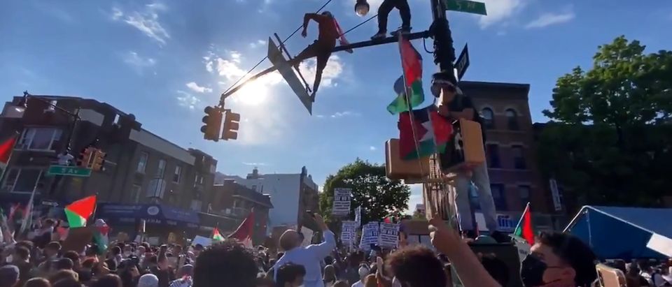 Thousands protest in support of Palestinians in Brooklyn, New York
