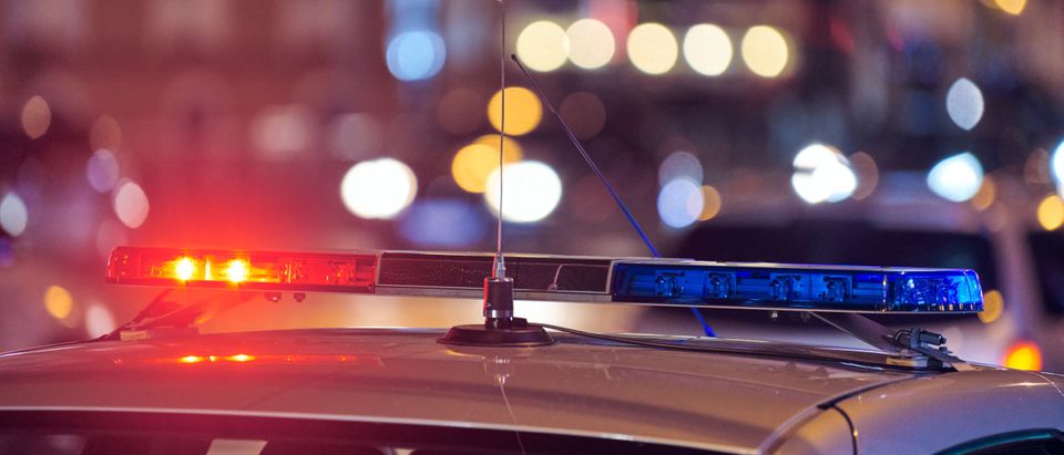 Police car lights at night [Shutterstock]