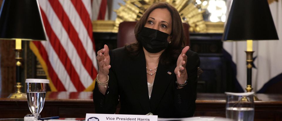 Vice President Harris Holds Virtual Meeting With National Security Experts