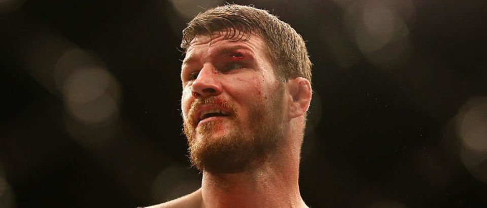 SYDNEY, AUSTRALIA - NOVEMBER 08: Michael Bisping of England is seen with a cut over his left eye in his loss to Luke Rockhold in their middleweight fight during the UFC Fight Night 55 event at Allphones Arena on November 8, 2014 in Sydney, Australia. (Photo by Mark Kolbe/Getty Images)