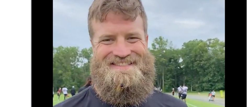 Washington Football Team Posts Bizarre Clip Of Ryan Fitzpatrick Being Attacked By Cicada The 