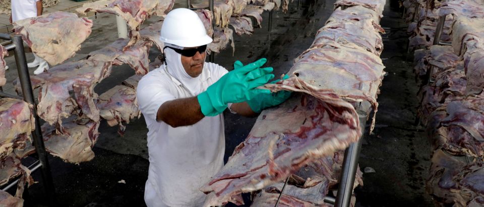 FILE PHOTO: A worker spreads salted meat which will be dried and then packed at a plant of JBS S.A, the world's largest beef producer, in Santana de Parnaiba