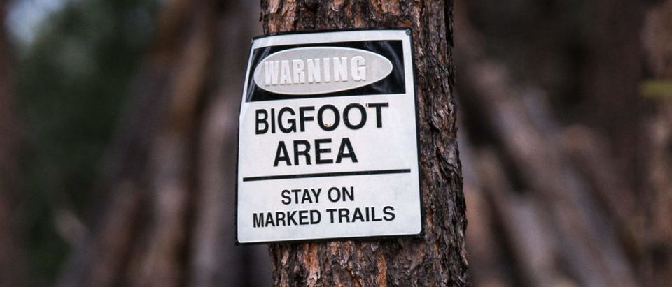 Bigfoot (Credit: Shutterstock/CineBlade)