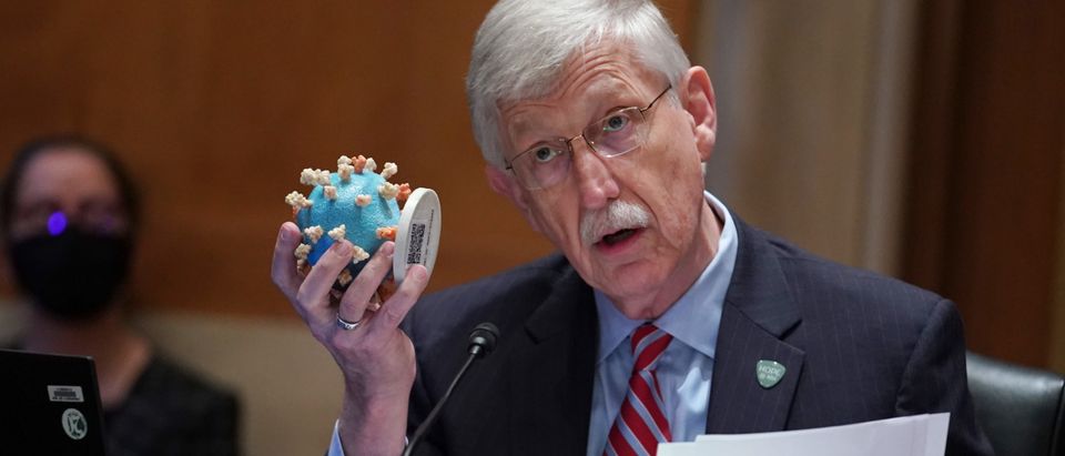 WASHINGTON, DC - MAY 26: National Institutes of Health Director Dr. Francis Collins holds up a model of the coronavirus as he testifies before a Senate Appropriations Subcommittee looking into the budget estimates for National Institute of Health (NIH) and the state of medical research on Capitol Hill, May 26, 2021 in Washington, DC. (Photo by Sarah Silbiger-Pool/Getty Images)