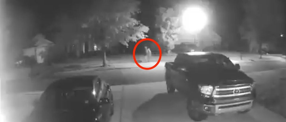 Surveillance Footage Of Possible Murderer With Victim