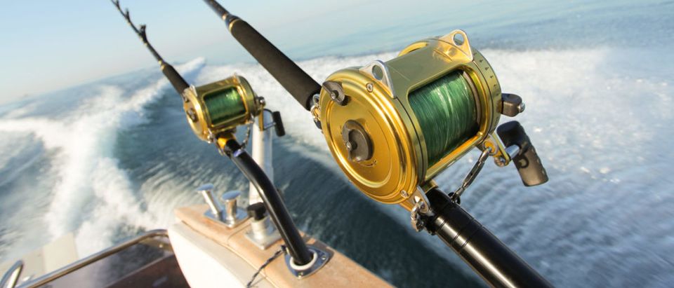 Fishing (Credit: Shutterstock/paul prescott)