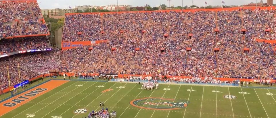 Florida Fans (Credit: Screenshot/Twitter Video https://twitter.com/RossDellenger/status/1439355929959534600)