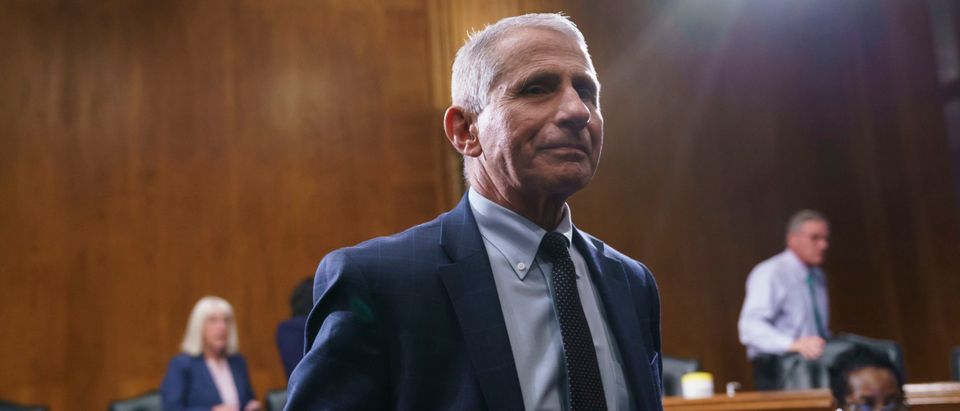 WASHINGTON, DC - JULY 20: Top infectious disease expert Dr. Anthony Fauci finishes his testimony before the Senate Health, Education, Labor, and Pensions Committee about the status of COVID-19, July 20, 2021 on Capitol Hill in Washington, DC. Cases of COVID-19 have tripled over the past three weeks, and hospitalizations and deaths are rising among unvaccinated people. (Photo by J. Scott Applewhite-Pool/Getty Images)