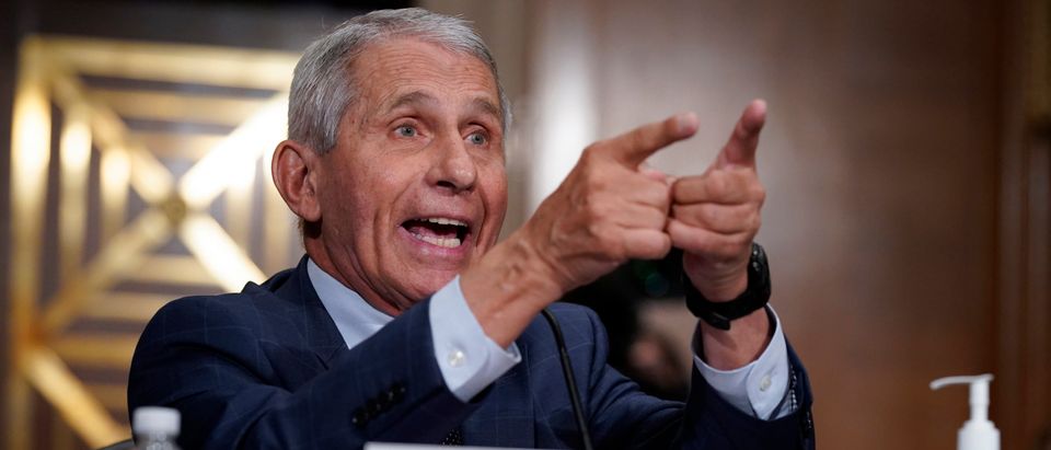 EXCLUSIVE: Bipartisan Congressional Group Presses Fauci On Abusive Animal Testing At His Agency