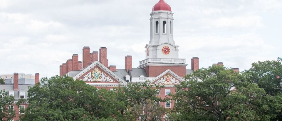 CAMBRIDGE, MA - AUGUST 30: A Harvard University building on August 30, 2018 in Cambridge, Massachusetts. The U.S. Justice Department sided with Asian-Americans suing Harvard over admissions policy. (Photo by Scott Eisen/Getty Images)