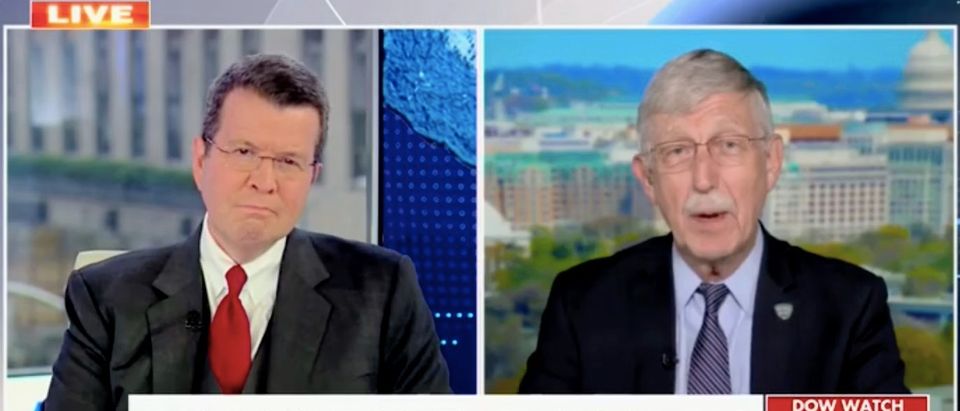 Neil Cavuto speaks with Francis Collins on "Your World." Screenshot/Fox News