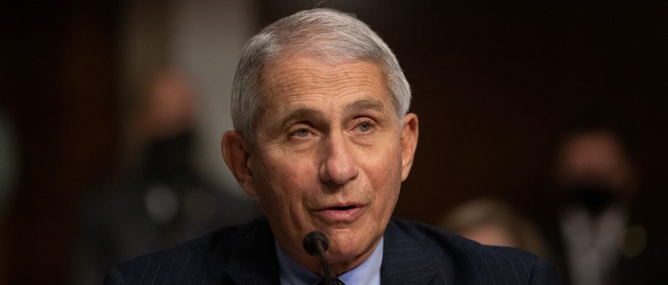 Dr. Anthony Fauci Testifies Before Senate On Federal Response To Pandemic
