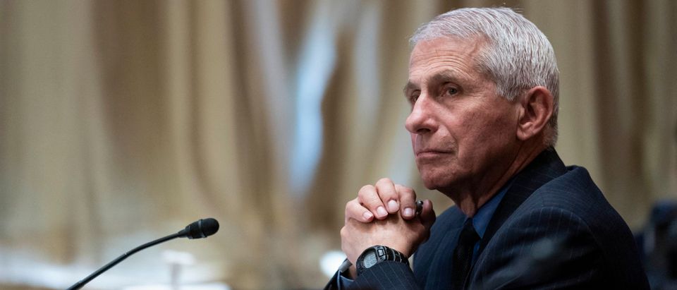 GOP Lawmakers Request Full Hearing On Fauci Dog Testing