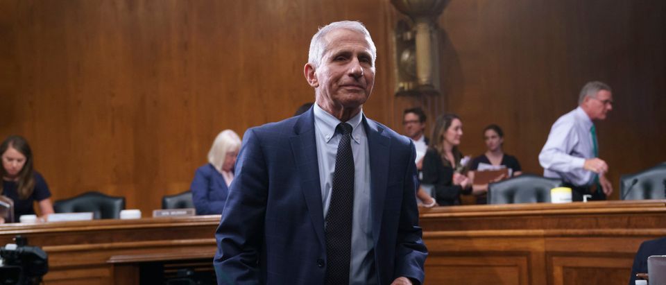 WaPo Goes After Nonprofit That Exposed Fauci Dog Testing For 'Harming Dr. Fauci's Reputation'