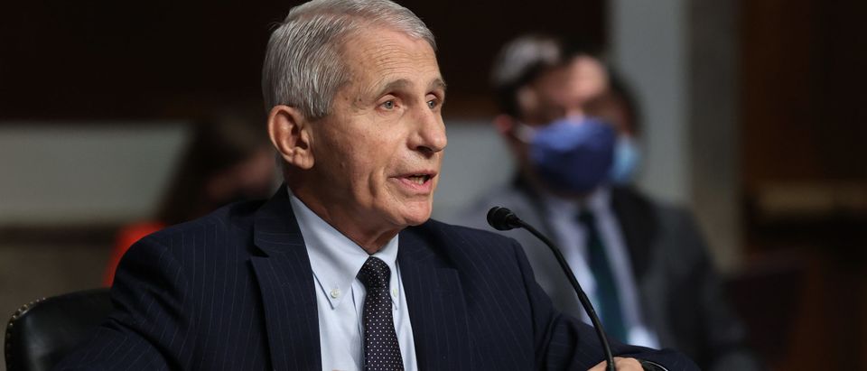 One Of Fauci's Top Scientists Opposes Vaccine Mandates, Is Unvaccinated