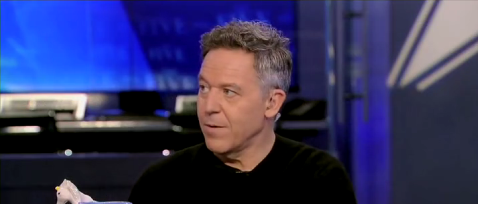 Greg Gutfeld Rittenhouse Acquittal Is A Loss For CNN, MSNBC, And Stupid People The Five Screenshot 2021-11-19 18.38.49