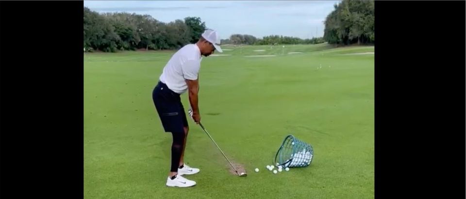Tiger Woods (Credit: Screenshot/Twitter Video https://twitter.com/TigerWoods/status/1462448711682957322)