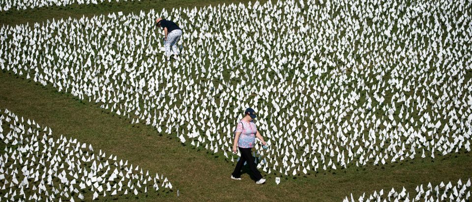 Over 650,000 White Flags Planted On National Mall To Honor American Covid Deaths