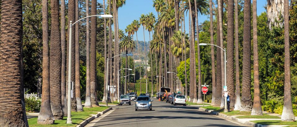 Streets of Beverly Hills, California [Shutterstock/f11photos]