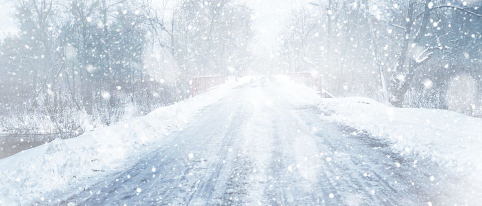 Country roadside during a winter storm [Shutterstock/Africa Studio]