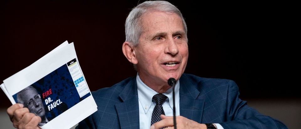 POLL: Majority Of Independents Want Fauci Gone