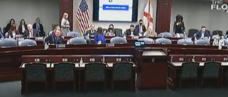 Florida House Committee votes on LGBTQ bill