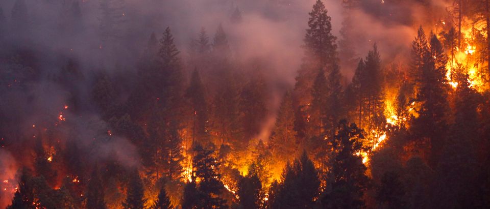 Death Toll Rises To 6 As Redding Area Wildfire Spreads To 90,000 Acres