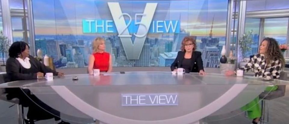 'The View' co-hosts on Wednesday