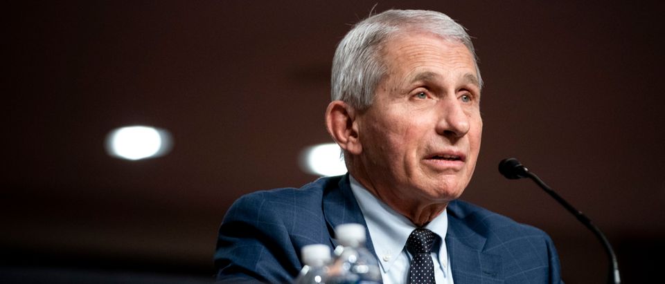 Where The Heck Is Anthony Fauci? People Are Talking
